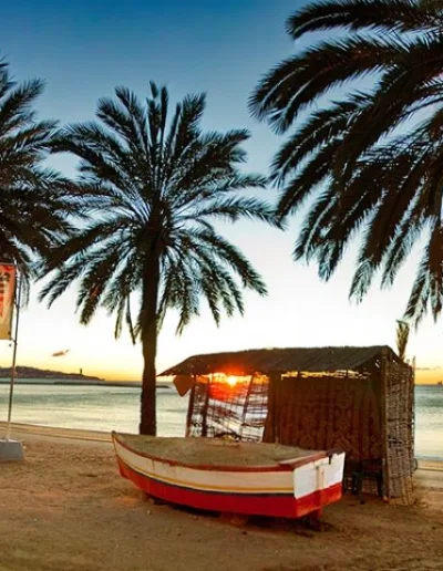 Malaga Andalusia Spain Muslim Tour