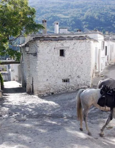 Alpujarras Granada Andalusia Tour Muslim Travelers