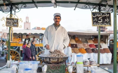 Top Things to See & Do in Marrakech