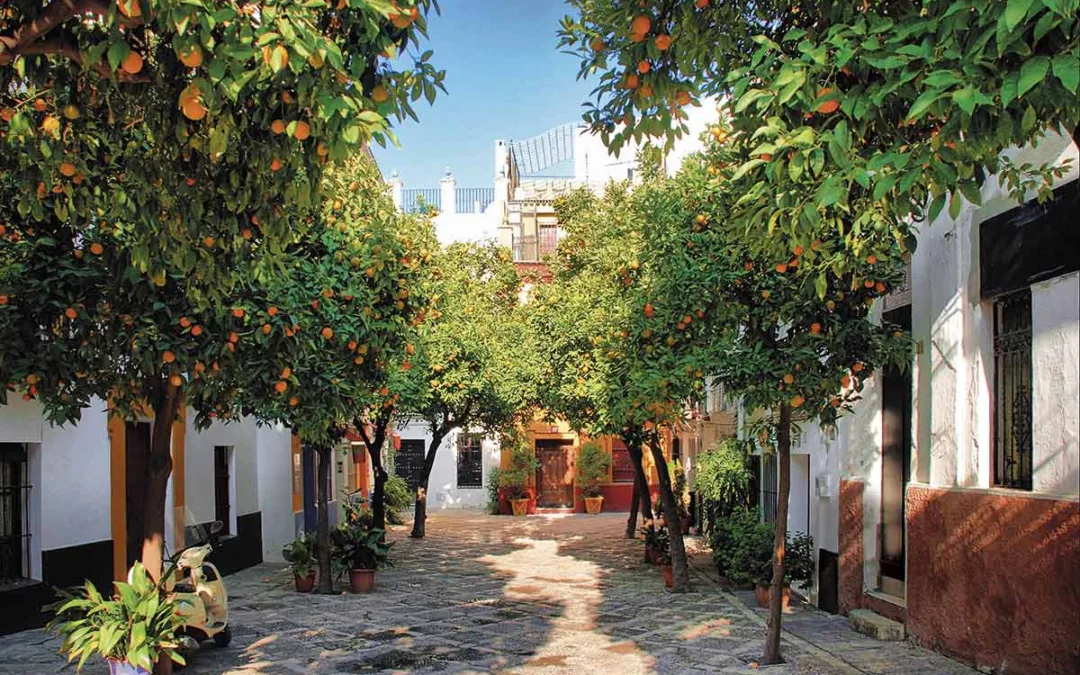 Seville
