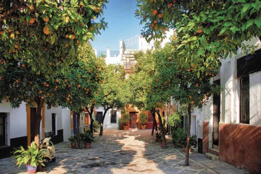 Santa Cruz Quarter Seville Al Andalus Heritage